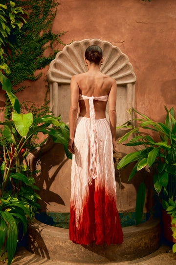 ZAMBA PITAYA 25% BLACK FRIDAY